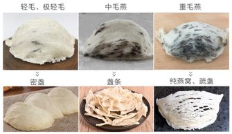 全面解析：燕窝的三种分类及各自特点与功效