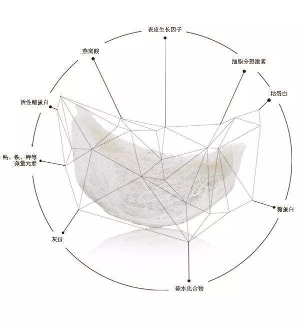 燕窝酸里含哪些成分最多：燕窝酸的主要成分及含量分析