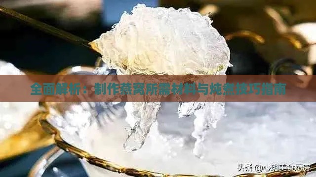 全面解析：制作燕窝所需材料与炖煮技巧指南