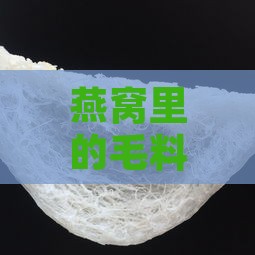 燕窝里的毛料有哪些