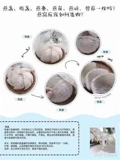 揭秘：干燕窝克星全解析——常见品种及其对燕窝的影响探究