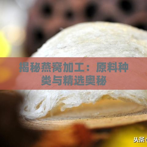 揭秘燕窝加工：原料种类与精选奥秘