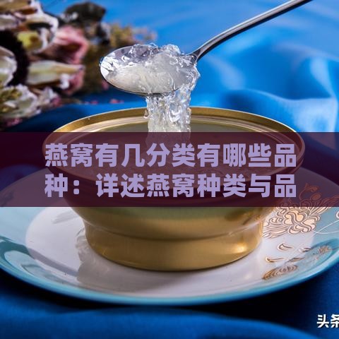 燕窝有几分类有哪些品种：详述燕窝种类与品种特点