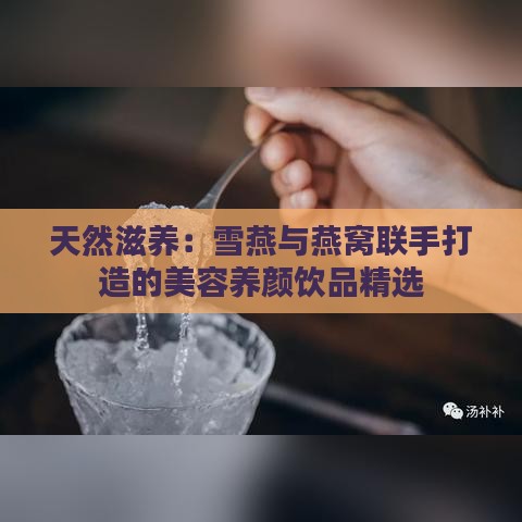 天然滋养：雪燕与燕窝联手打造的美容养颜饮品精选