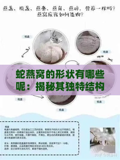 蛇燕窝的形状有哪些呢：揭秘其独特结构特点与类型