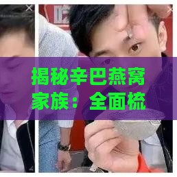 揭秘辛巴燕窝家族：全面梳理辛巴燕窝产品系列阵容