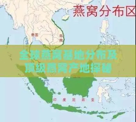 全球燕窝主要产地及其分布特点详探