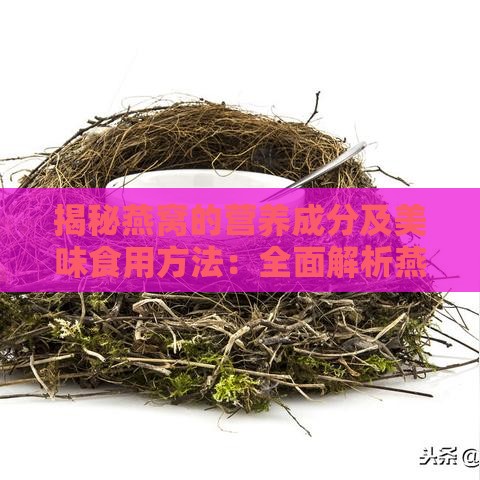 揭秘燕窝的营养成分及美味食用方法：全面解析燕窝的好处与食用技巧