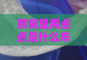 燕窝里黑点点是什么东西：探究燕窝中的黑色点点成分及原因