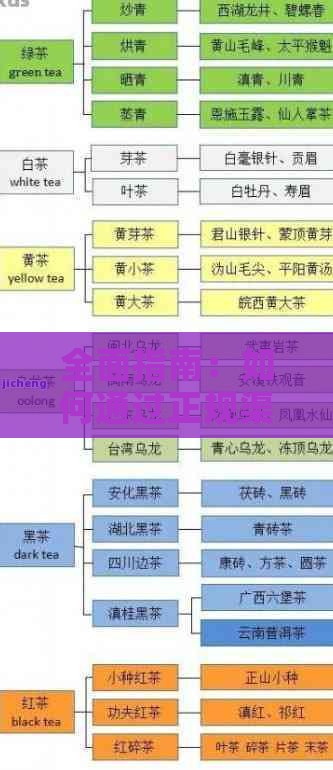 全面指南：如何通过正规渠道购买高品质燕窝与鉴别真假