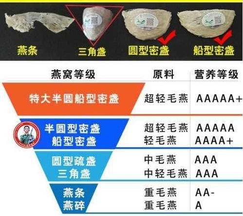 揭秘印尼燕窝产量更高的地区：全面指南解析印尼各燕窝主产市