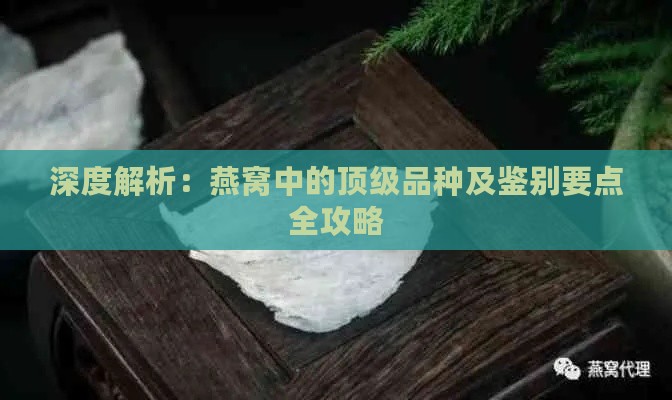 深度解析：燕窝中的顶级品种及鉴别要点全攻略