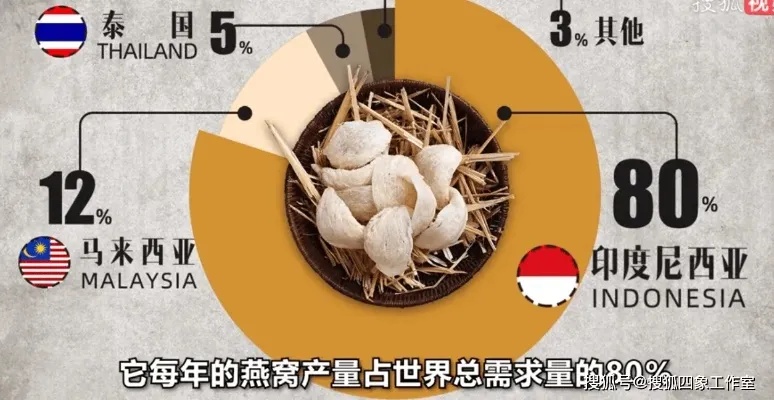 探索印尼：知名燕窝精选指南