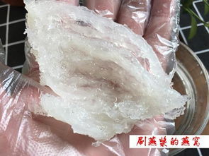 揭秘燕窝杂质问题：如何判断燕窝品质与挑选优质燕窝攻略