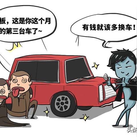 全面解析燕窝：探究燕窝的多种形态与分类特点