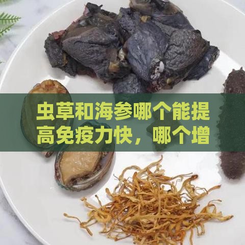 虫草和海参哪个能提高免疫力快，哪个增强免疫力更好