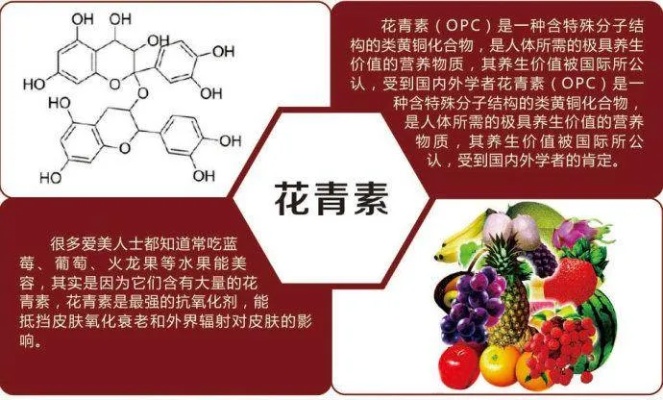 全面解析：花青素如何助力抗衰老与提升身体健康的多种益处