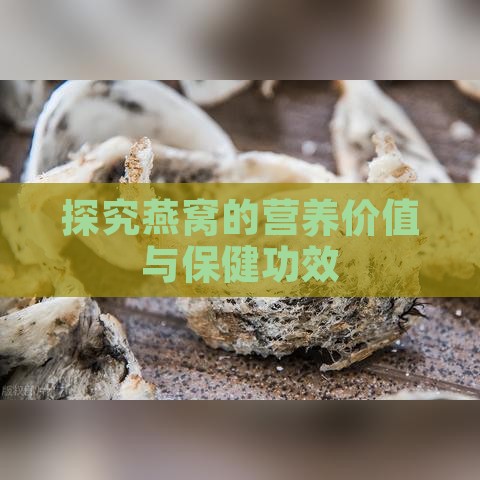 探究燕窝的营养价值与保健功效