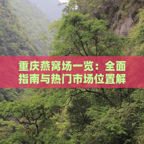 重庆燕窝场一览：全面指南与热门市场位置解析