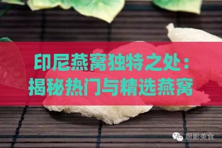 印尼燕窝独特之处：揭秘热门与精选燕窝品质保证