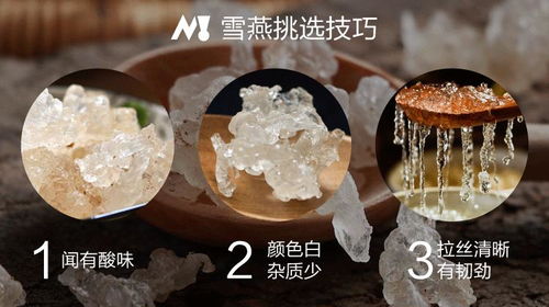 全面解析：雪燕与燕窝的营养对比、功效差异及适用人群选择指南