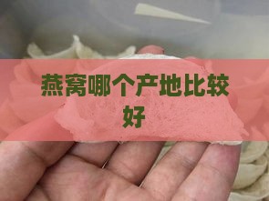 燕窝哪个产地比较好