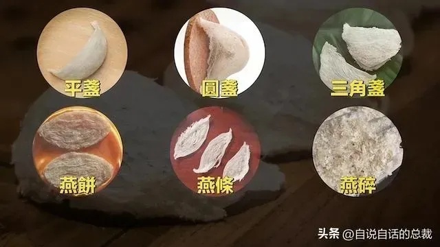 颜色照片：燕窝正宗形状与真伪鉴别