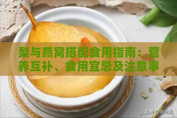 梨与燕窝搭配食用指南：营养互补、食用宜忌及注意事项