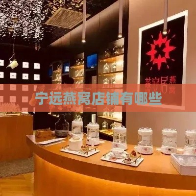 宁远燕窝店铺有哪些