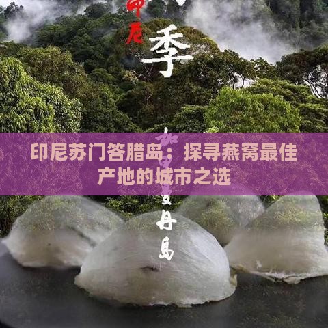 印尼苏门答腊岛：探寻燕窝更佳产地的城市之选