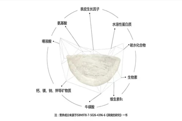 燕窝都有什么成份及功效组成详解