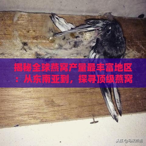 揭秘全球燕窝产量最丰富地区：从东南亚到，探寻顶级燕窝产地分布