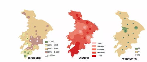 印尼燕窝产区详探：全面解读各主要产区特点与品质分级