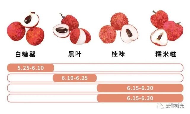 燕窝荔枝口味有哪些种类：探究不同风味的选择