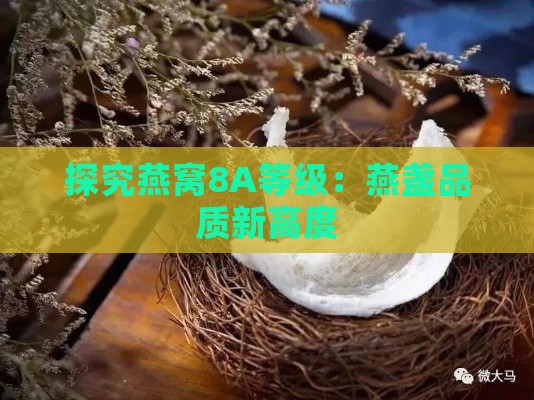 探究燕窝8A等级：燕盏品质新高度