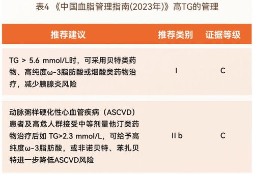 全方位解析：燕窝替代品与速食营养补品一览，满足您的健康需求