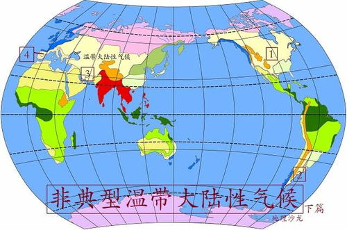 全球燕窝产地一览：探寻燕窝的主要分布区域与特点