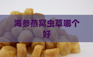 海参燕窝虫草哪个好