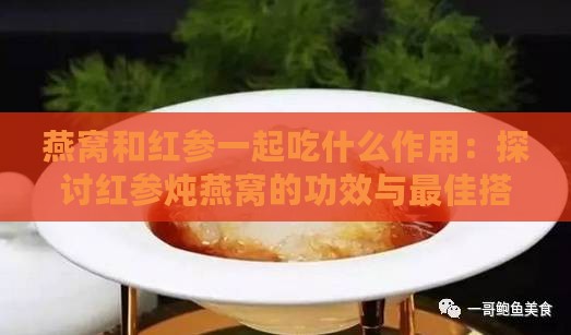 燕窝和红参一起吃什么作用：探讨红参炖燕窝的功效与更佳搭配效果