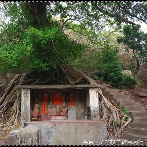 东莞燕窝哪个好吃：比较推荐排行榜