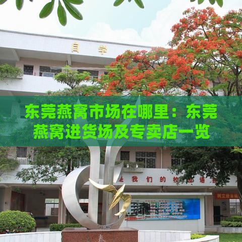 东莞燕窝市场在哪里：东莞燕窝进货场及专卖店一览