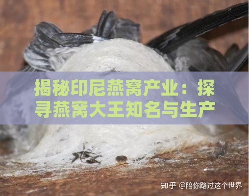 揭秘印尼燕窝产业：探寻燕窝大王知名与生产商名录