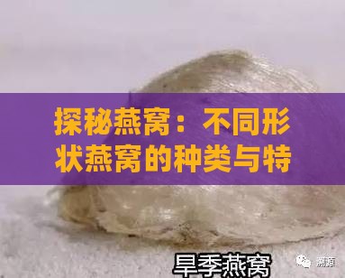 探秘燕窝：不同形状燕窝的种类与特点解析