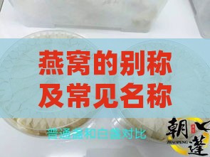 燕窝的别称及常见名称一览：揭秘燕窝的各种叫法与俗称