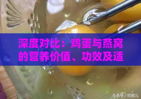 深度对比：鸡蛋与燕窝的营养价值、功效及适用人群分析