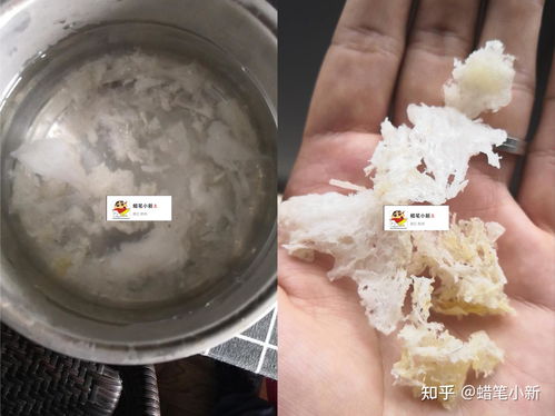 燕窝排行中，哪个的燕窝更好：品质更优且口感更佳？