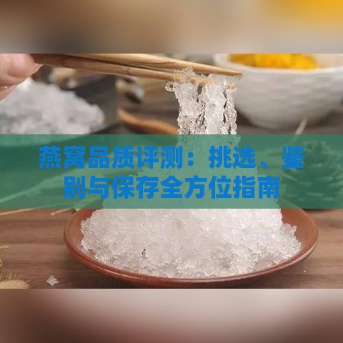 燕窝品质评测：挑选、鉴别与保存全方位指南