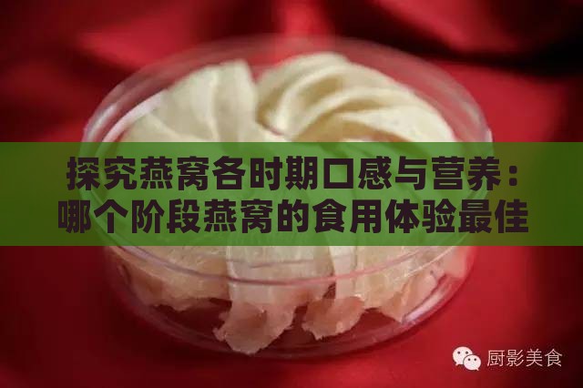 探究燕窝各时期口感与营养：哪个阶段燕窝的食用体验更佳？