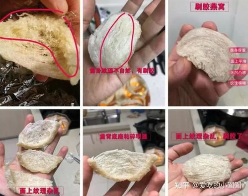 瀛曞孕妇该如何选择：即食燕窝与干燕窝哪个更适合？