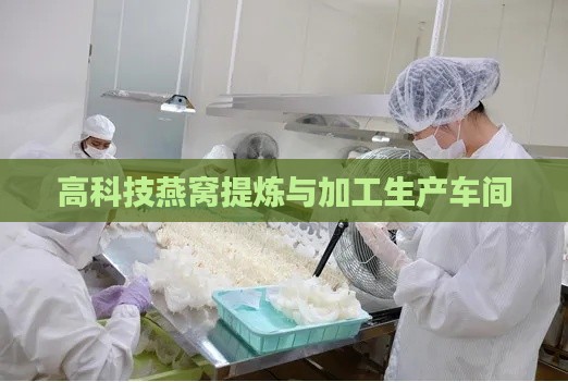 高科技燕窝提炼与加工生产车间